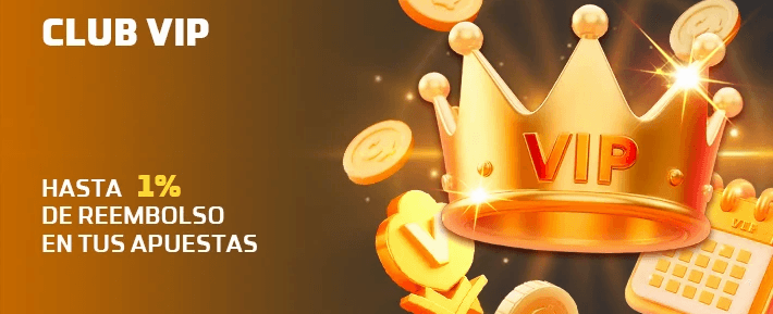 Premios VIP en casinomillonario.net